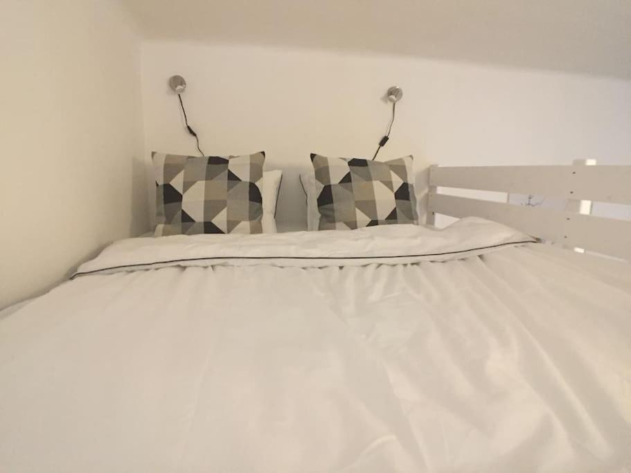 Stylish Flat In - Vinohrady Apartment Prague