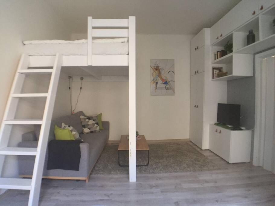 Stylish Flat In - Vinohrady * Prague