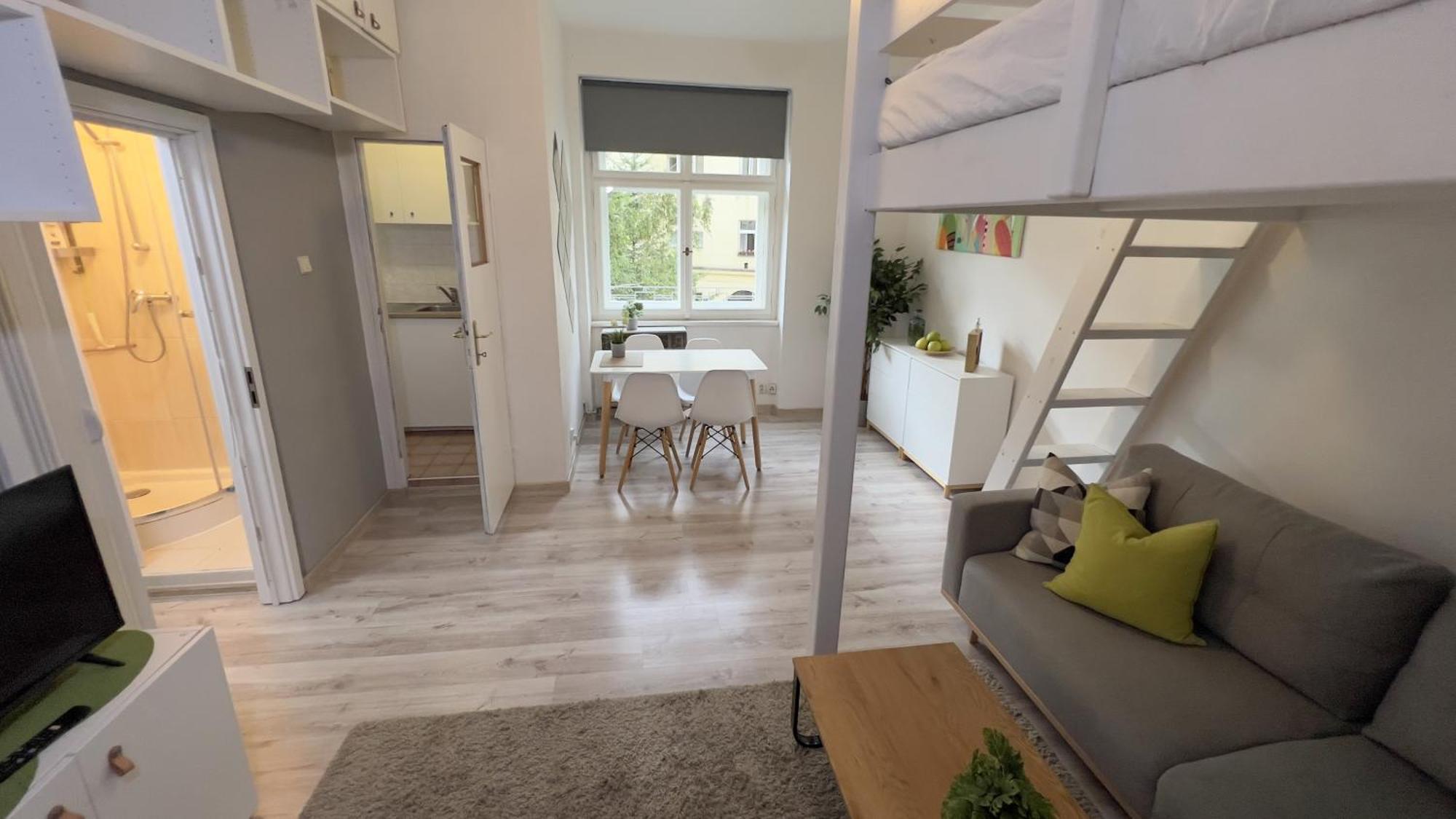 Stylish Flat In - Vinohrady Apartment